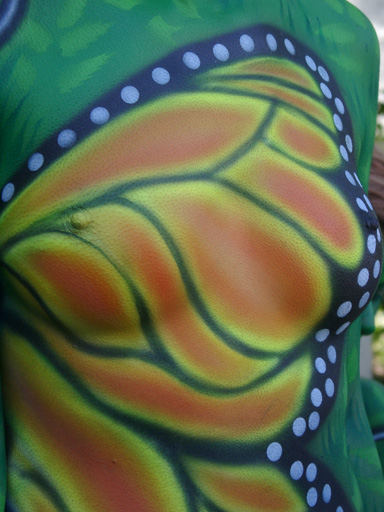 08100244
