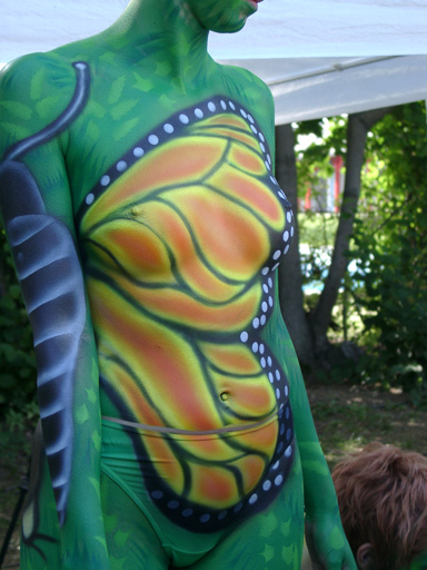 08100245